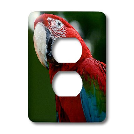 3dRose lsp_16938_6 Scarlet Macaw Outlet Cover