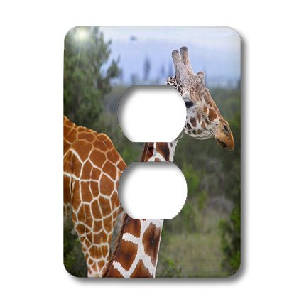 3dRose LLC lsp_9844_6 Giraffes at the Sweetwater Reserve 2 Plug Outlet Cover