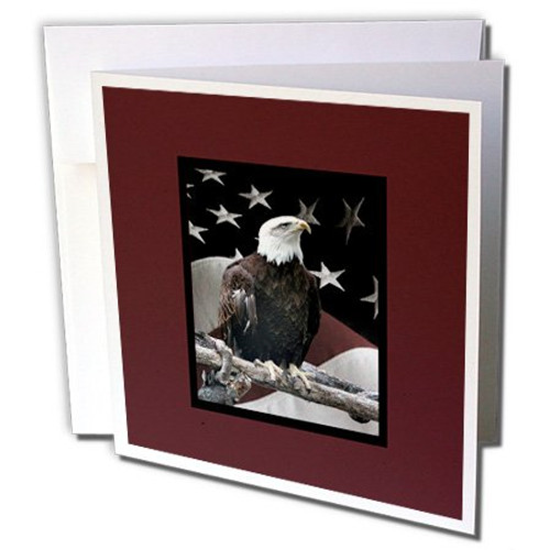 Bald Eagle on Log with American Flag  - Greeting Cards, 6 x 6 inches, set of 12 (gc_77331_2)