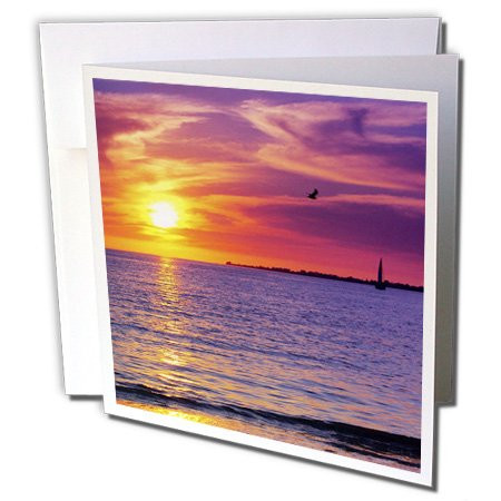 3dRose Sailboat With Red and Purple Florida Sunset - Greeting Cards, 6 x 6 inches, set of 12 (gc_39056_2)