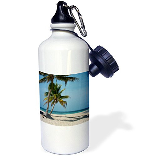 3dRose Belize. Palm Tree and White Sand Beach at Goff Caye. -Sports Water Bottle, 21oz (wb_209876_1), Multicolored