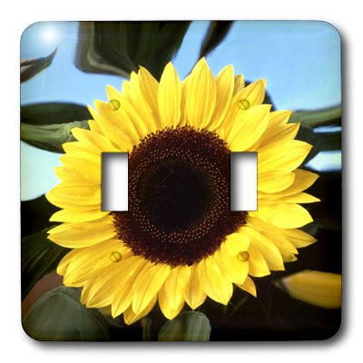 3dRose lsp_3320_2 Sunflower Double Toggle Switch