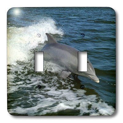 3dRose lsp_46949_2 Dolphin Splash Toggle switch
