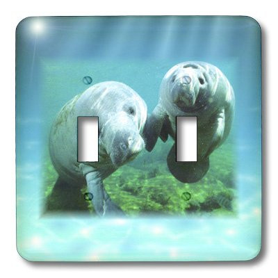 3dRose lsp_39647_2 2 Manatees looking At You Double Toggle Switch