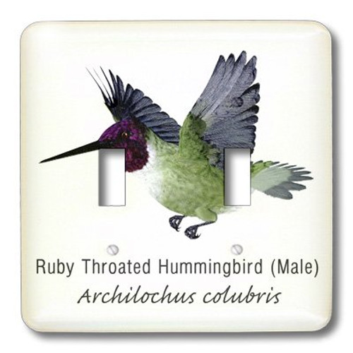 3dRose lsp_37147_2"Ruby Throated Hummingbird Male" Double Toggle Switch