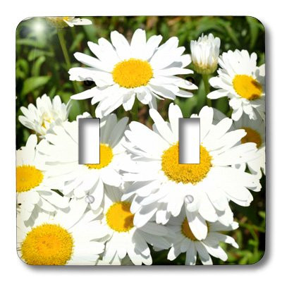 3dRose lsp_27931_2 Daisies in Summer Floral Double Toggle Switch