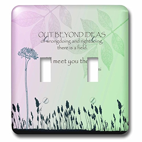 3dRose lsp_79325_2 Out Beyond Ideas Rumi Quotes Inspirational Art Double Toggle Switch