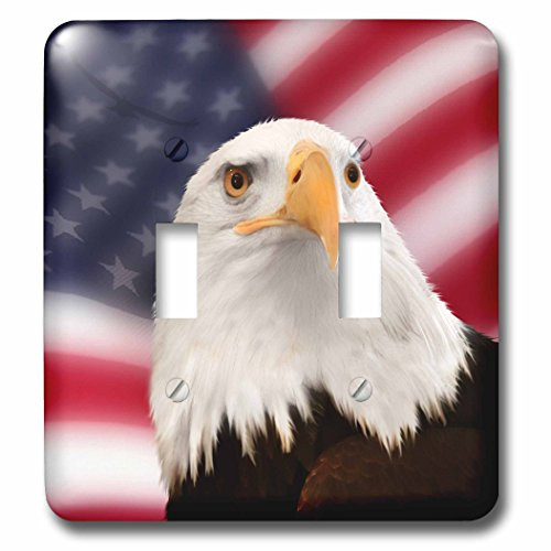 3dRose lsp_62902_2 Patriotic American Flag and Bald Eagle Double Toggle Switch 3dRose lsp_62902_2 Patriotic American Flag and Bald Eagle Double Toggle Switch