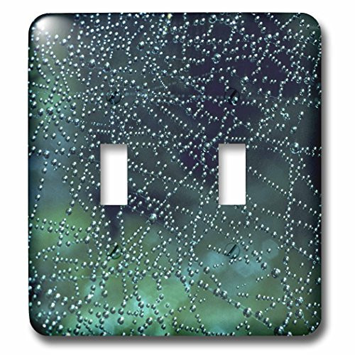 3dRose lsp_75195_2" Dew Drops on Spider Web-AB01 MGI0003-Mark Gibson" Double Toggle Switch
