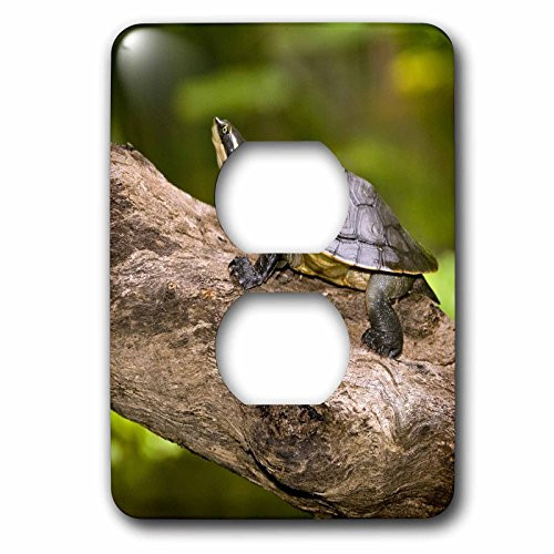 3dRose lsp_75878_6 Northern Snake Plug Outlet Cover