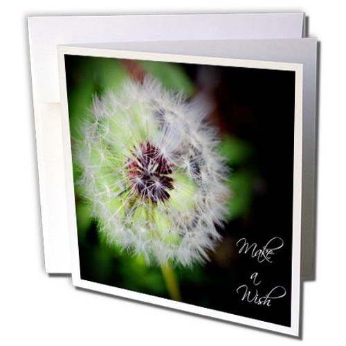 3dRose Make a Wish Dandelion Puff Ball - Greeting Cards, 6 x 6 inches, set of 12 (gc_30607_2) 3dRose Make a Wish Dandelion Puff Ball - Greeting Cards, 6 x 6 inches, set of 12 (gc_30607_2)