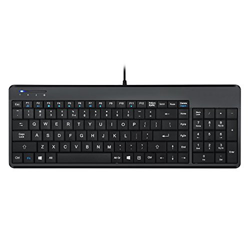 Perixx Periboard-220H Wired USB Keyboard with 2 Hubs, Compact Design with Numeric Keypad, Black