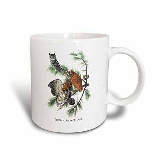 3dRose mug_114062_2 Eastern Screech Owl By John James Audubon Ceramic Mug, 15-Ounce 3dRose mug_114062_2 Eastern Screech Owl By John James Audubon Ceramic Mug, 15-Ounce