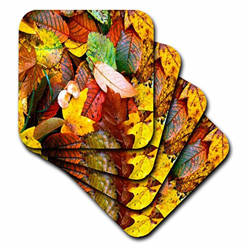 3dRose LLC Fall Leaves Ceramic Tile Coaster, Set of 4