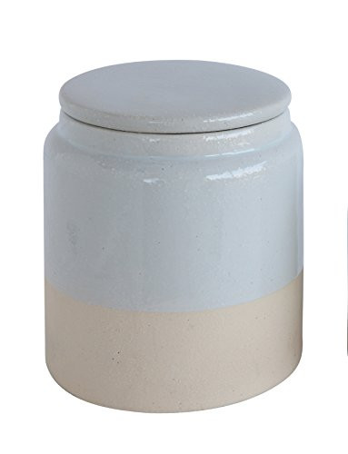 Creative Co-Op Large White Glazed Stoneware Canister, Multicolored