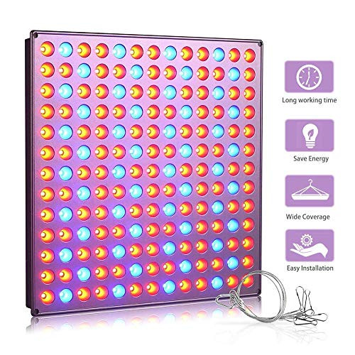 Roleadro LED Grow Light, 75W Grow Light for Indoor Plants Full Spectrum Plant Light for Seedling, Hydroponic, Greenhouse, Succulents, Flower