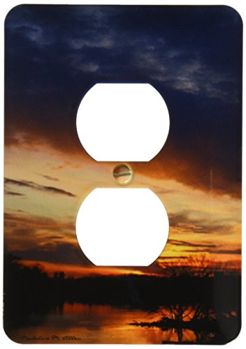 3dRose lsp_9170_6 Spring Sunset 2 Plug Outlet Cover