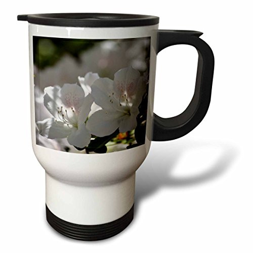 3dRose Two White Azalea Flowers-Spring Garden Floral Stainless Steel Travel Mug, 14-Ounce 3dRose Two White Azalea Flowers-Spring Garden Floral Stainless Steel Travel Mug, 14-Ounce