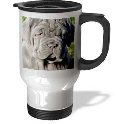 3dRose Map of Rome Ceramic Mug, 15-Ounce
