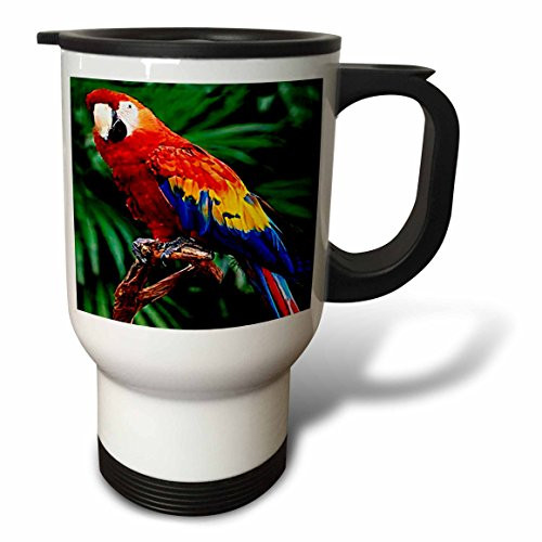 3dRose Scarlet Macaw Travel Mug, 14-Ounce, Stainless Steel