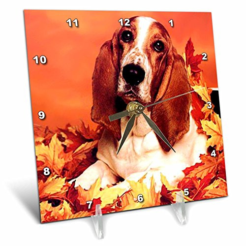 3dRose Basset Hound Desk Clock, 6 by 6-Inch