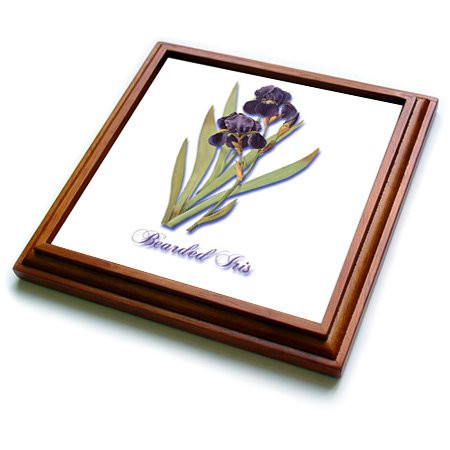 3dRose trv_171212_1 Bearded Iris, Botanical Print of Dark Purple Flowers with Orange Trivet with Ceramic Tile, 8" by 8", Brown