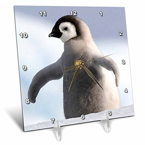 3dRose LLC Baby Penguin Desk Clock, 6 by 6-Inch