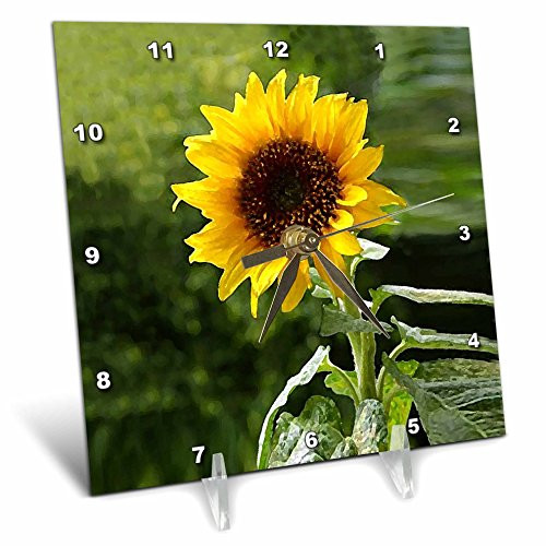 3dRose LLC Sunflower Desk Clock, 6 by 6-Inch