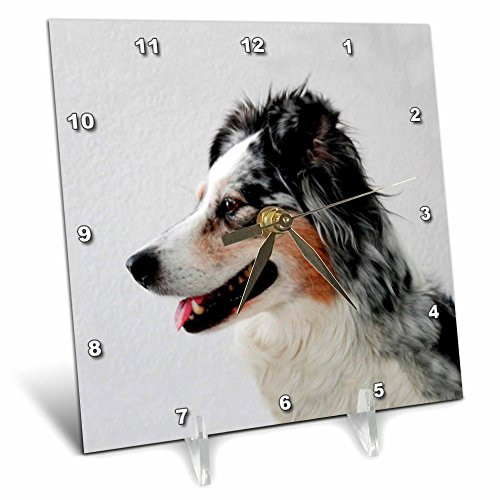 3dRose LLC Australian Shepherd Desk Clock, 6 by 6-Inch