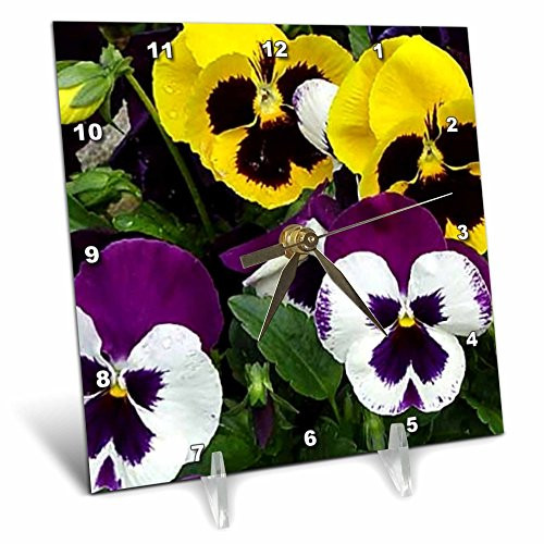 3dRose LLC Pansie Desk Clock, 6 by 6-Inch