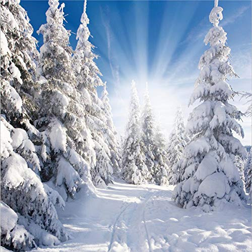 Winter Tree White Snow Photo Backdrop Winter Outdoor Background Wonderland Snowflake Party Decoration for Family Union Photo Booth Studio Prop (8x8) ft 076
