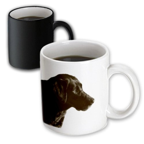 3dRose mug_49352_3"Portait Of A Chocolate Lab" Magic Transforming Mug, 11 oz, Multicolor