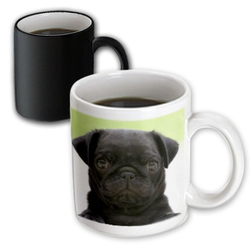 3dRose Pug Puppy Magic Transforming Mug, 11-Ounce