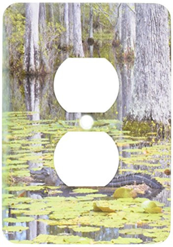 3dRose lsp_94248_6 South Carolina, Cypress Gardens Alligator, Swamp Us41 Bja0009 Jaynes Gallery 2 Plug Outlet Cover
