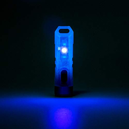 RovyVon Aurora A7 LED Keychain Flashlight, 550 Lumens, Cree Rechargeable Mini Torch, Fluorescent Blue,Super Bright EDC Light (Blue)