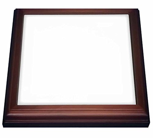 3dRose trv_159881_1 Pure white bright colorless plain simple one single solid white color Trivet with Ceramic Tile, 8" x 8", Brown