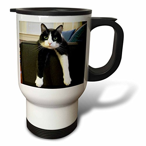 3dRose Black and White Cat with Nothing to Do Travel Mug, 14-Ounce, Stainless Steel