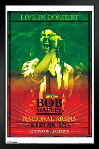 Pyramid America Bob Marley Concert Black Wood Framed Art Poster 14x20