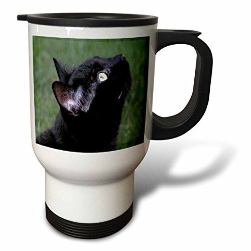 3dRose Black Cat Looking Up Travel Mug, 14-Ounce
