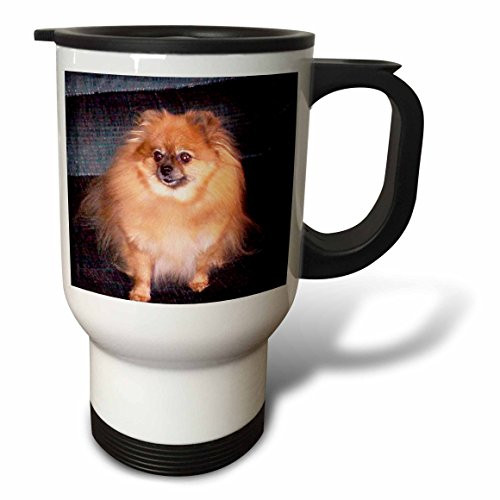 3dRose Pomeranian Dog Travel Mug, 14-Ounce, Stainless Steel