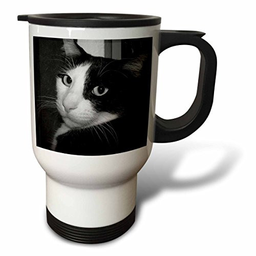 3dRose Black and White Halloween Cat Travel Mug, 14-Ounce