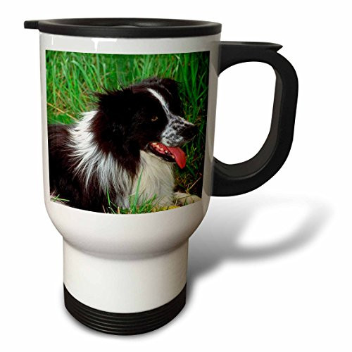 3dRose Border Collie Stainless Steel Travel Mug, 14-Ounce