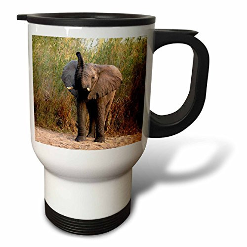 3dRose Elephant Travel Mug, 14-Ounce, Stainless Steel