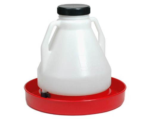 Brower 4GF 4-Gallon Poultry Fount for Pullets and Chicks