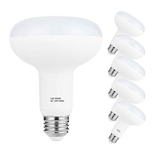 E26 Light Bulb, 120V BR30 Led Light Bulbs 12 Watt(100 Watt Equivalent), Daylight White 5000K, Dimmable, 1200Lumens, Use Recessed Can, 6 Pack