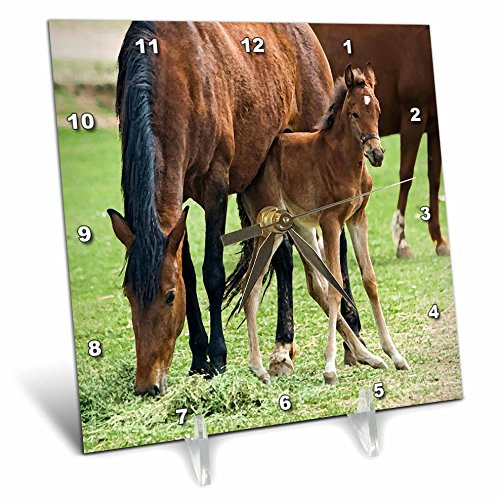 3dRose dc_203735_1 Print of Mare & Foal Painting Desk Clock, 6 by 6"