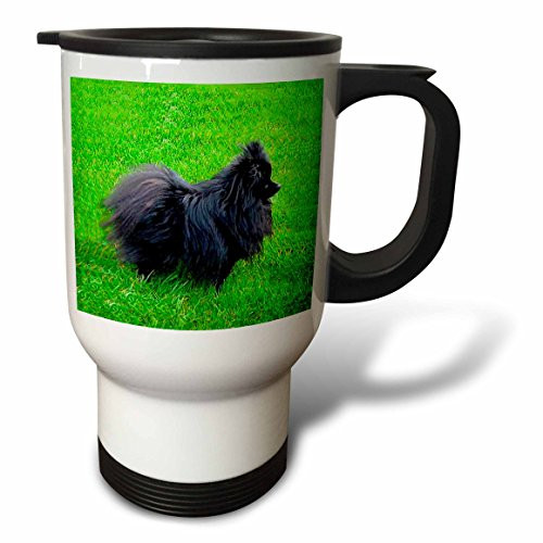 3dRose Black Pomeranian Travel Mug, 14-Ounce, Stainless Steel