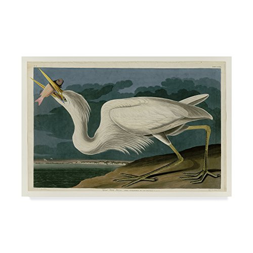 Great White Heron by John James Audobon, 16x24-Inch Canvas Wall Art