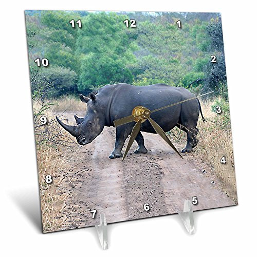 3dRose dc_20116_1 South African Rhino Side View-Desk Clock, 6 by 6-Inch