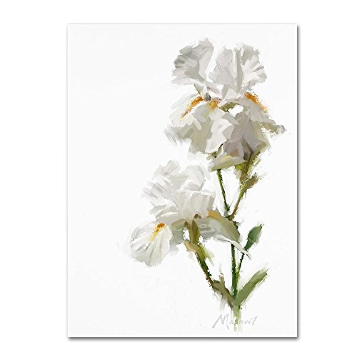 White Iris by The Macneil Studio, 18x24-Inch Canvas Wall Art